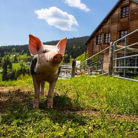 Amenity & Hotell Špindlerŭv Mlýn