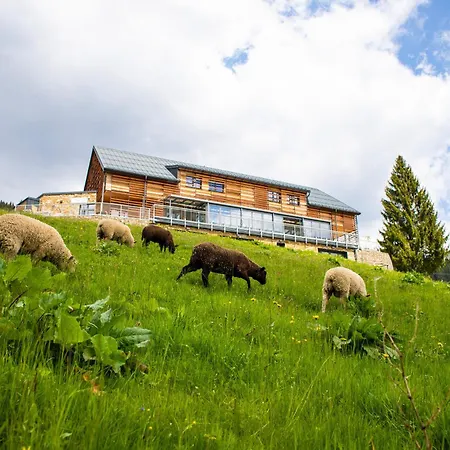Amenity & Hotell 4*
