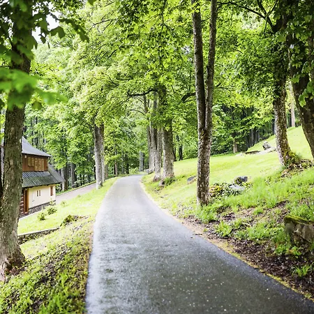 Hotel Amenity & Špindlerŭv Mlýn