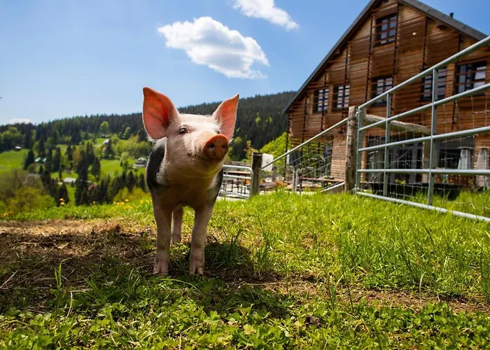 Amenity & 酒店 Špindlerŭv Mlýn