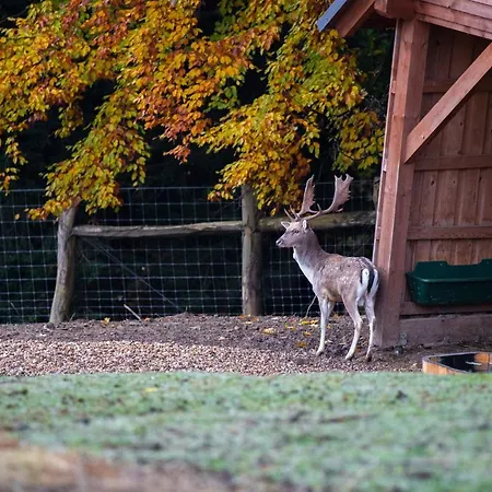 Amenity & Hotel Spindleruv Mlyn