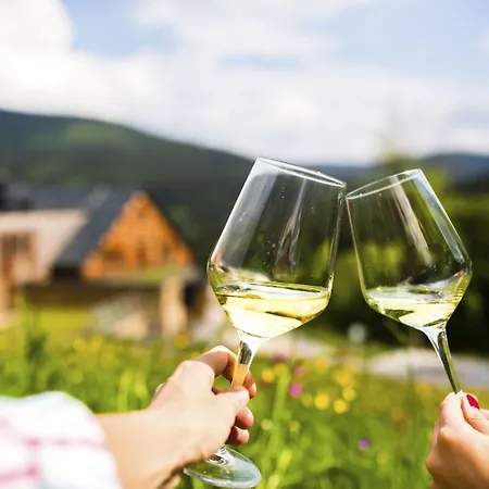 Amenity & Spindleruv Mlyn