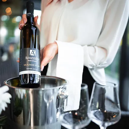 Amenity & 4* Špindlerŭv Mlýn