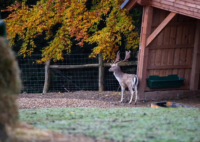 Amenity & Hotel Špindlerŭv Mlýn