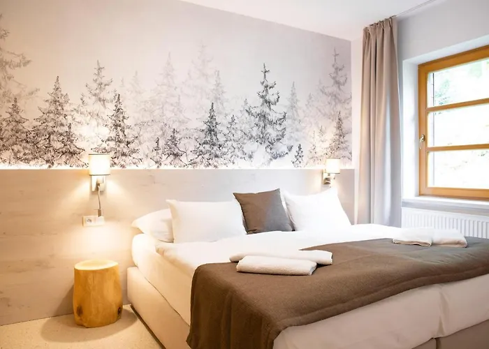 Amenity & Špindlerŭv Mlýn