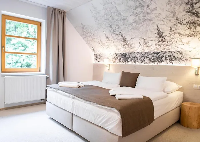 Hotel Amenity & Špindlerŭv Mlýn