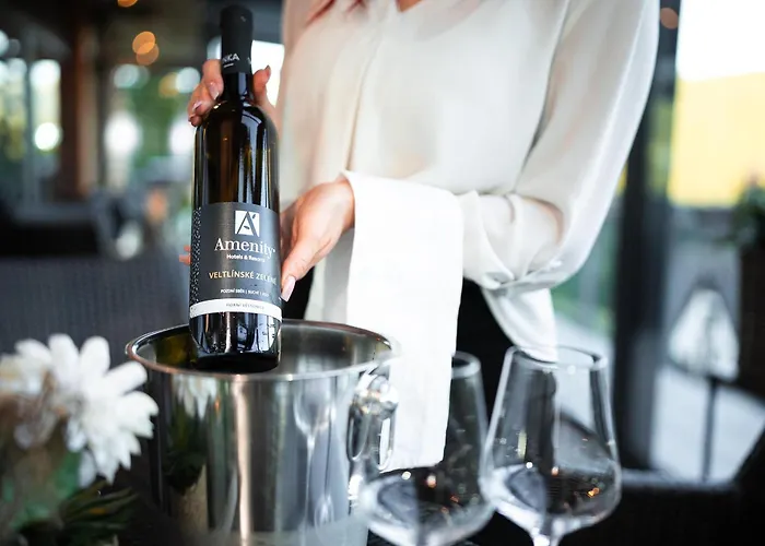 Amenity & 4* Špindlerŭv Mlýn